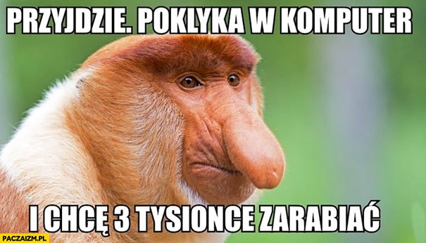 Przyjdzie poklika w komputer i chce 3 tysiące zarabiać typowy Polak nosacz  małpa - Paczaizm.pl